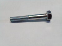 Schraube (M 6 x 40)