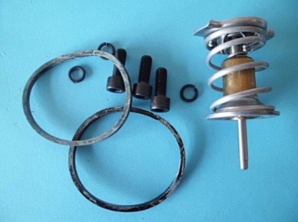 Thermostat Einsatz für Lada Kalina 1117, 1118, 1119