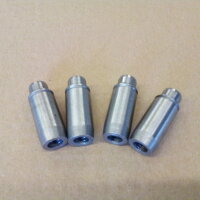 Führungsbuchsesatz (+0,02 mm) (4 Stück)...