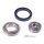 Radlagersatz 523-SET Ford Escort, Transit