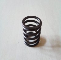 Ventilfeder groß